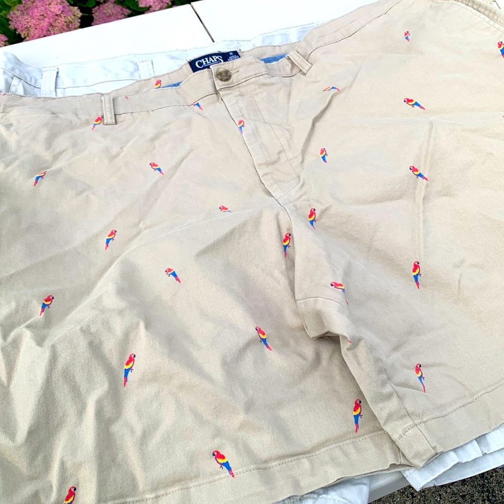 Men’s 52 chaps shorts
